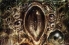 Call of Cthulhu: Dark Corners of the Earth