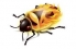 Firebug no longer sees JavaScript